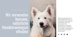 Fantastische HTML5-Vorlage Für Humanes Training