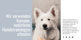 Benutzfertiges Website-Design Für Humanes Training