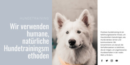 Humanes Training - Integrierte CMS-Funktionalität