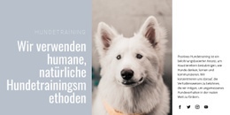 Humanes Training - Responsive Landingpage