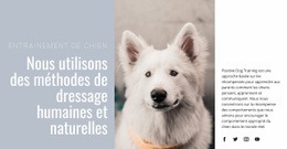 Bonnes Pratiques Pour Formation Humaine