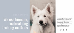 Humane Training - HTML5 Website Builder