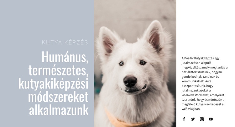 Humán képzés WordPress Téma