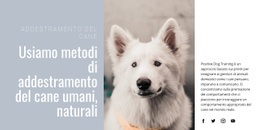 Migliori Pratiche Per Formazione Umana