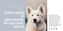 Formazione Umana Modello Di Griglia CSS