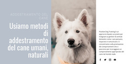 Formazione Umana - Modello Di E-Commerce