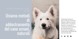 Fantastico Modello HTML5 Per Formazione Umana