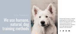 Ready To Use Joomla Template Builder For Humane Training
