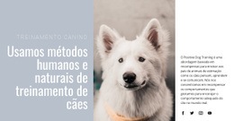 Melhores Práticas Para Treinamento Humano