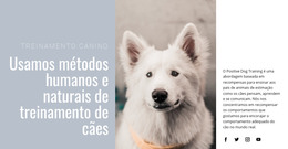 Treinamento Humano - Modelo De Comércio Eletrônico