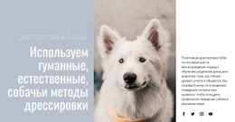 Гуманное Обучение Шаблон Сетки CSS