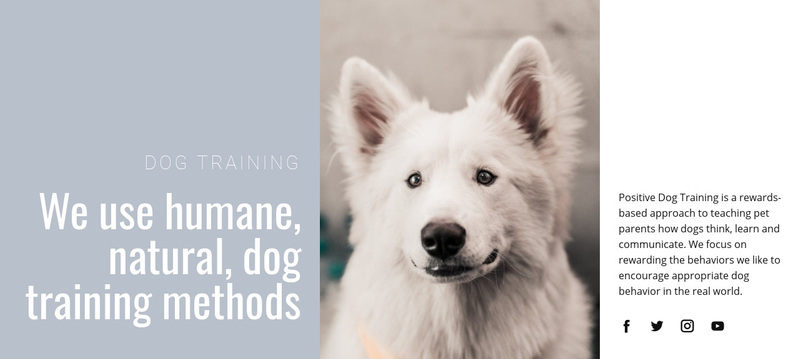 Humane training Web Page Design