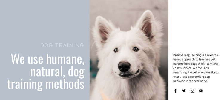 Humane training Website Mockup