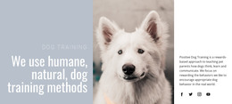 Humane Training - WordPress Template