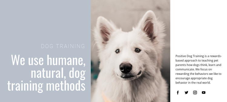 Humane training WordPress-thema