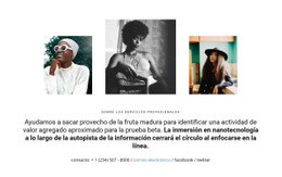 Diseño De Sitio Web Para Nuestros Experimentados Profesionales