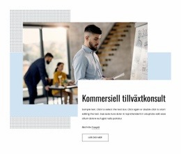 Vi Förändrar Din Kommersiella Strategi - Anpassad Webbdesign