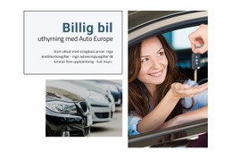 Billig Hyrbil - Personlig Mall