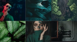 Galerie De Style Vert – Outil De Création De Sites Web Facile À Utiliser