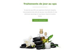 Traitements De Jour Au Spa - Modèle De Page Web