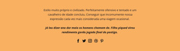 Contatos Sociais E De Texto - Tema WordPress Responsivo