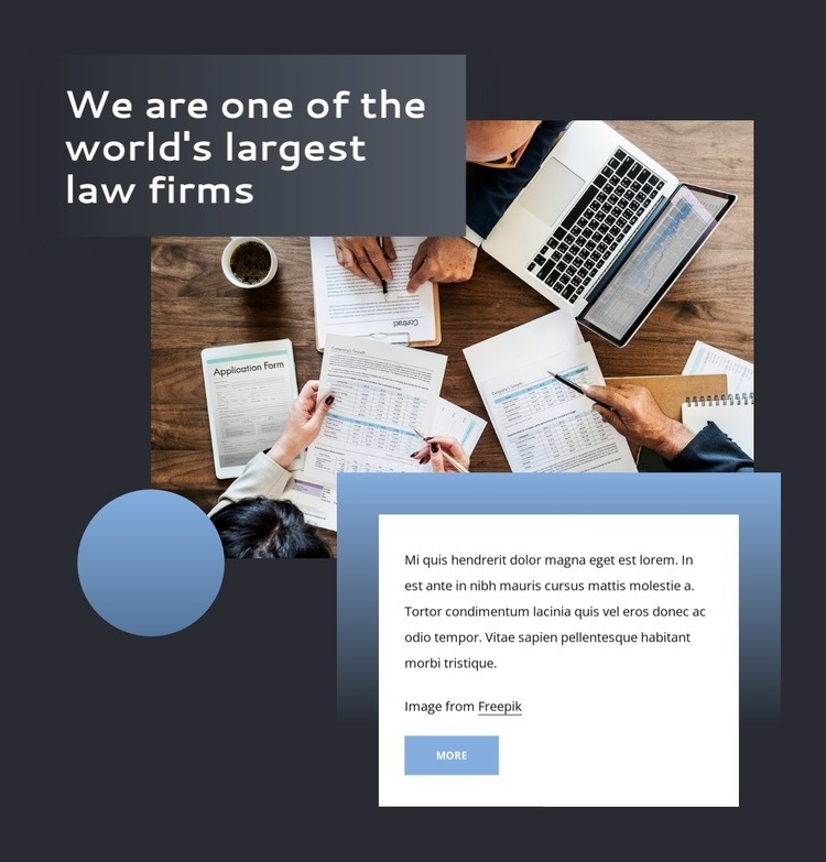 A full-service international law firm Elementor Template Alternative