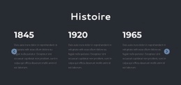 Histoire Du Cabinet D'Avocats - Modèle HTML5 Réactif