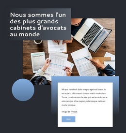 Un Cabinet D'Avocats International À Service Complet - Thème WordPress Simple