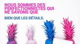 Eh Bien Et Seulement Des Détails – Thème WordPress Gratuit