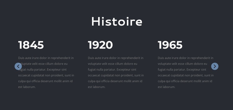 Histoire du cabinet d'avocats Thème WordPress