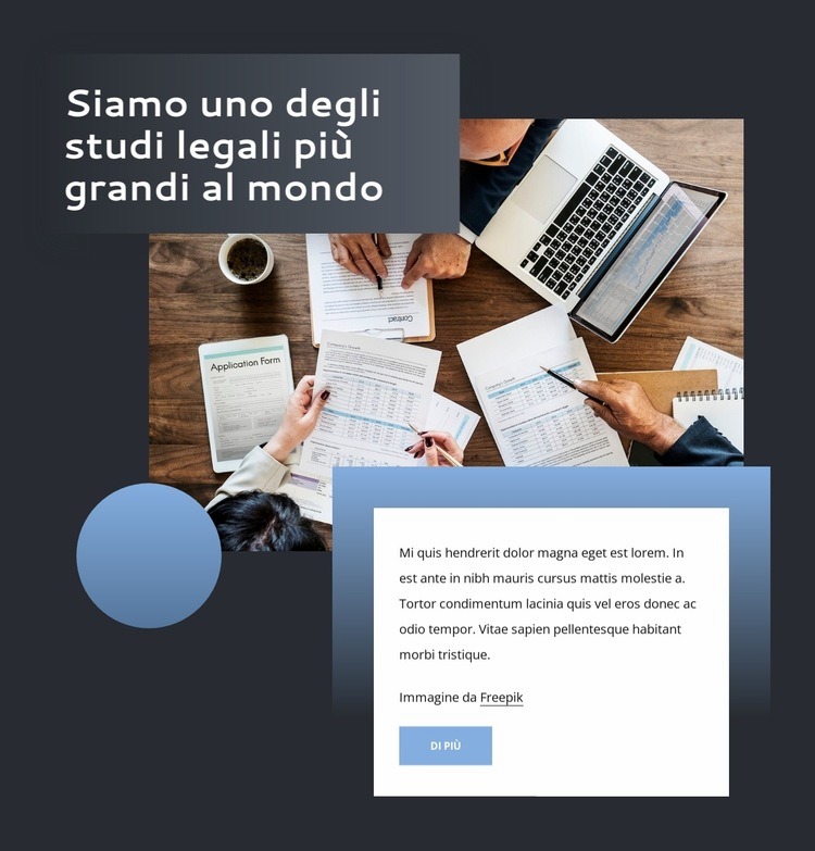 Uno studio legale internazionale a servizio completo Modelli di Website Builder