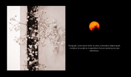 Natur Och Inspiration