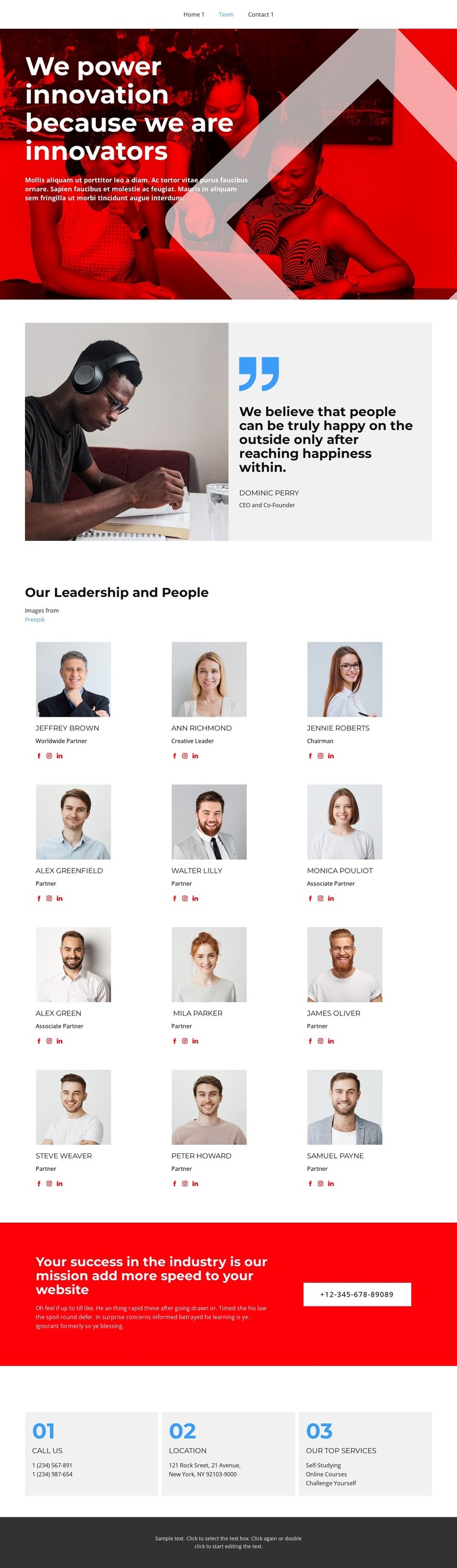 The team has been selected WordPress Theme