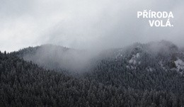 Mlhavý Les – Vstupní Stránka