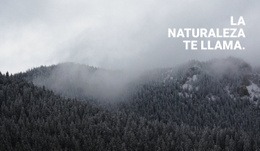 Bosque De Niebla: Creador De Sitios Web Para Inspirarte