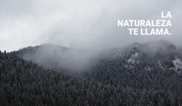 Diseño De Sitio Web Premium Para Bosque De Niebla