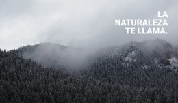 Bosque De Niebla: Maqueta De Sitio Web Multipropósito