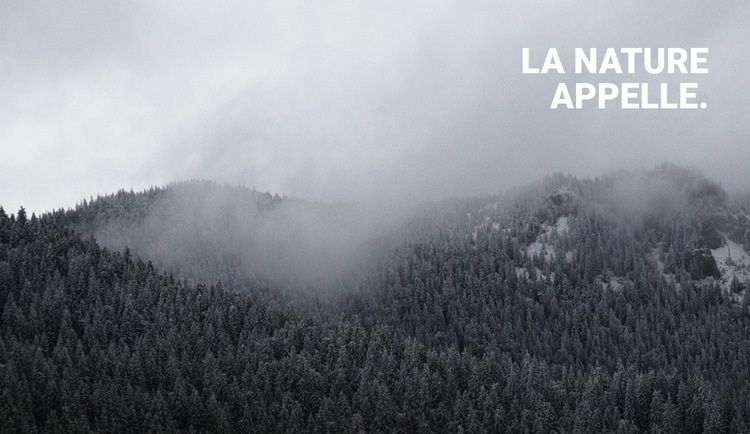 Forêt brumeuse Modèle d'une page