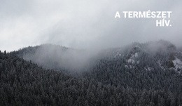 Ködös Erdő - HTML Oldalsablon