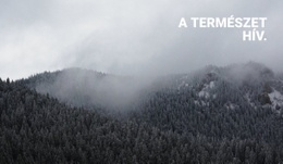 Ködös Erdő - Egyszerű Webhelysablon