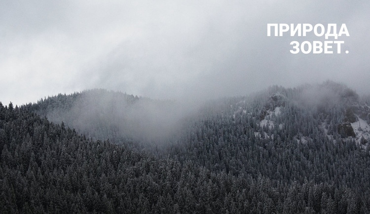 Туманный лес Шаблон Joomla