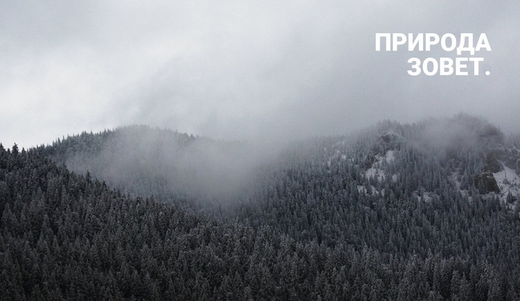 Туманный лес Шаблоны конструктора веб-сайтов