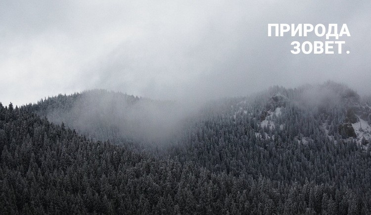 Туманный лес Мокап веб-сайта