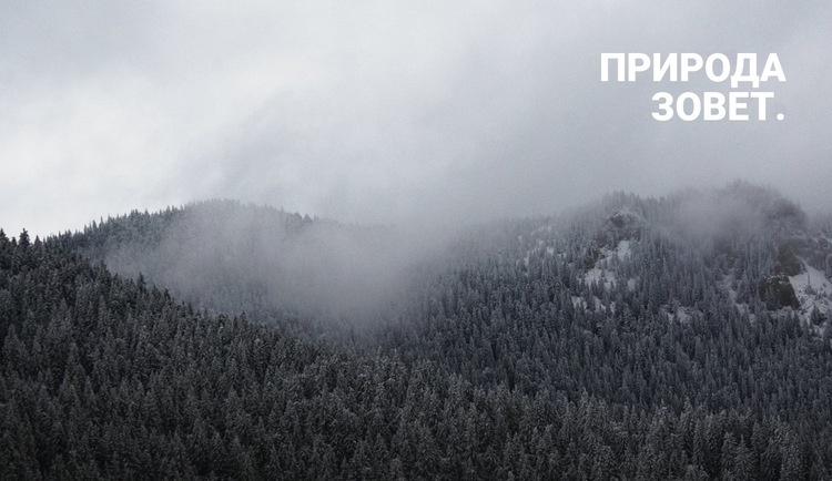 Туманный лес Шаблон веб-сайта