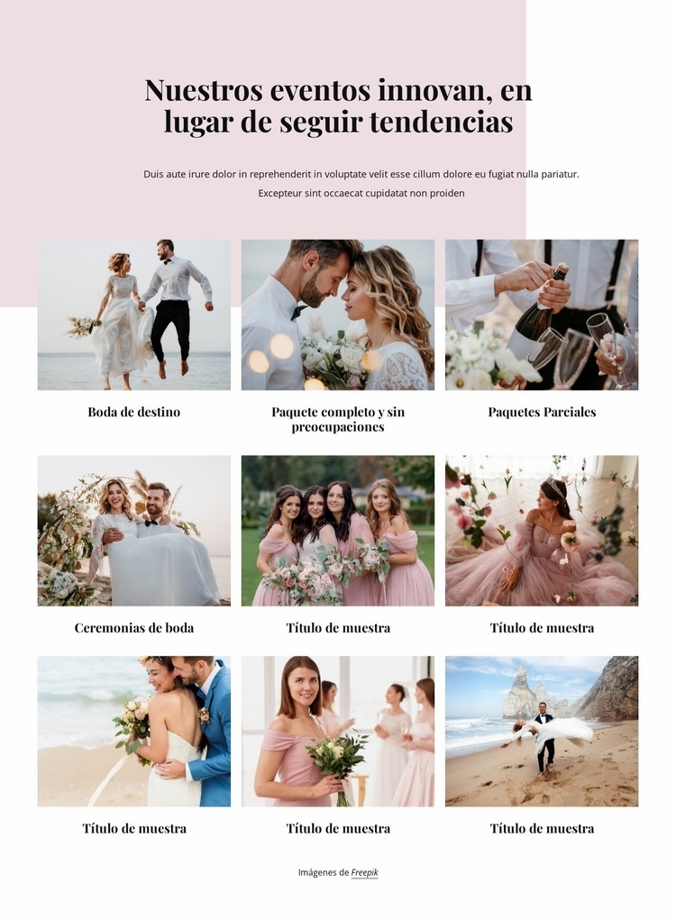 Creamos bodas a medida Diseño de páginas web