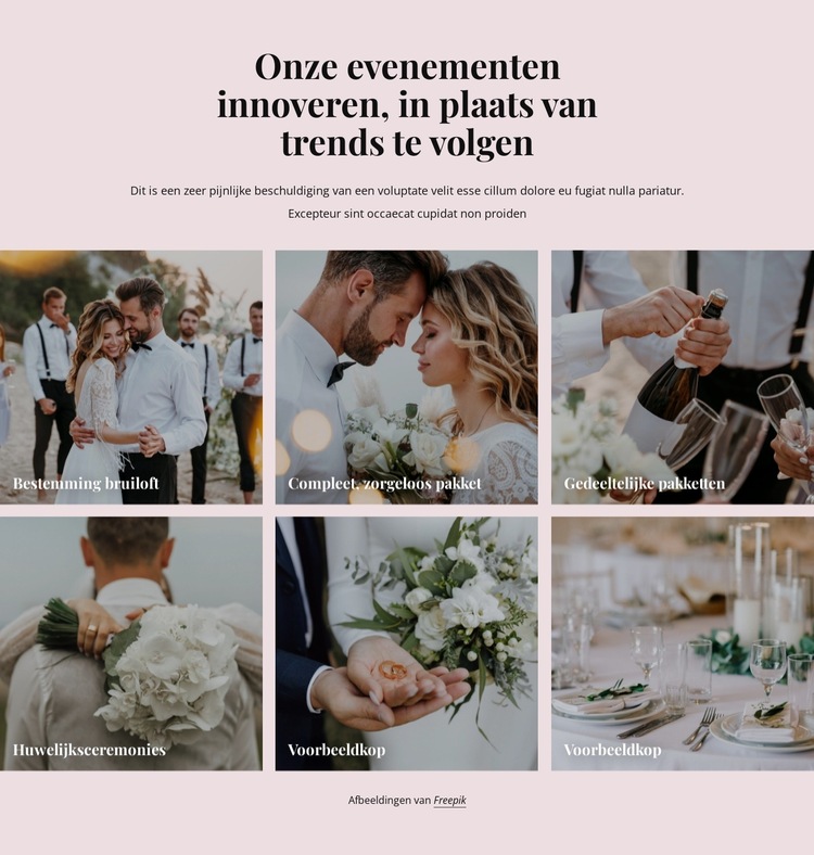 Onze evenementen innoveren bruiloften Website sjabloon