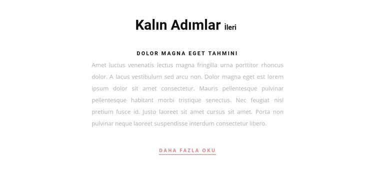 İki başlık metni ve bir düğme WordPress Teması