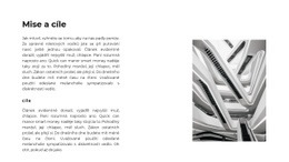 Varianty Motivu Bootstrap Pro Poslání A Strategie