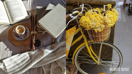 Couleurs D'Automne Douillettes - Meilleur Thème WordPress