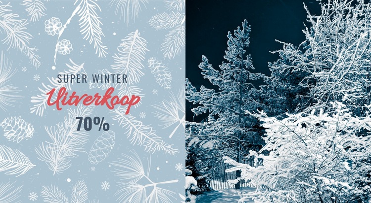 Super winterverkoop Website ontwerp